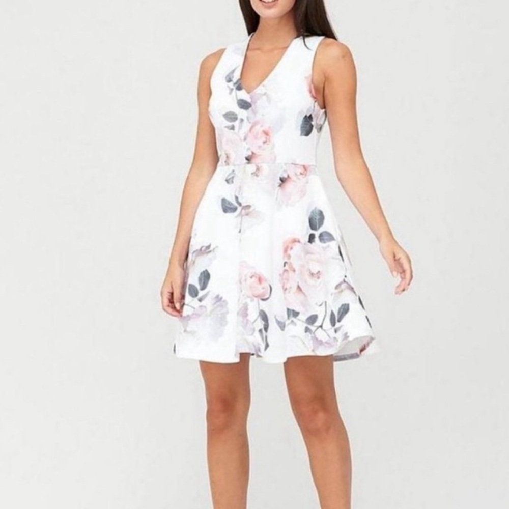 Ted Baker Bouquet Printed Skater Dress